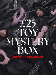 £25 Toy Mystery Box