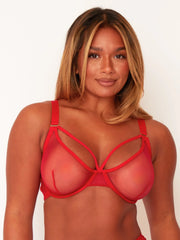 Carina Bra & Brief Set : Sheer Strawberry